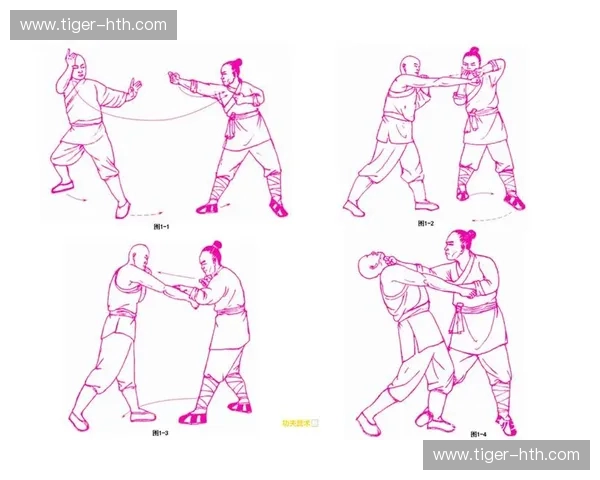 传统武术的传承与现代搏击的碰撞:一场关于“功夫”的跨时代对话